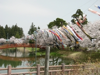 梨木公園